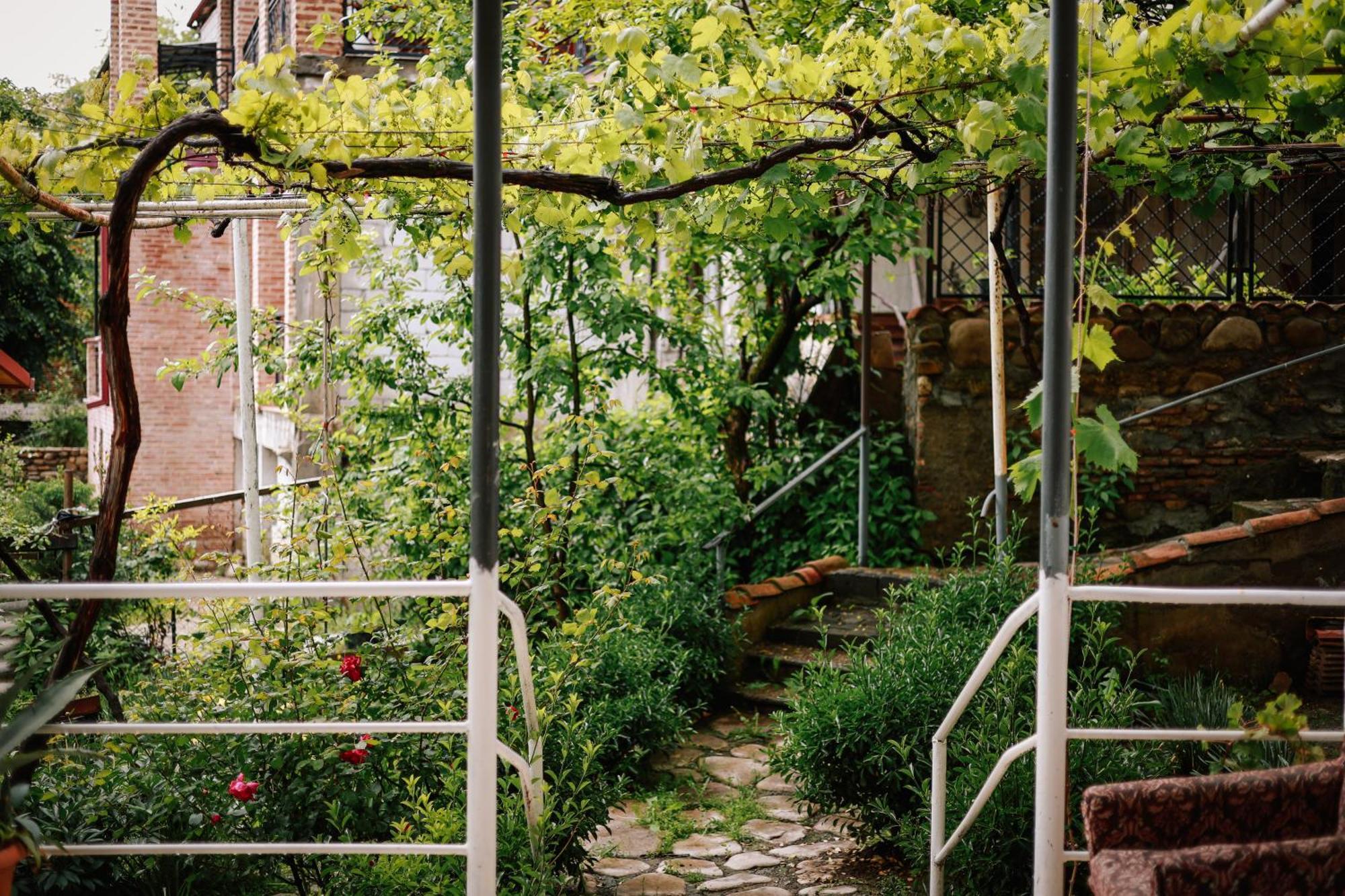 Sighnaghi Garden House Ξενοδοχείο Εξωτερικό φωτογραφία