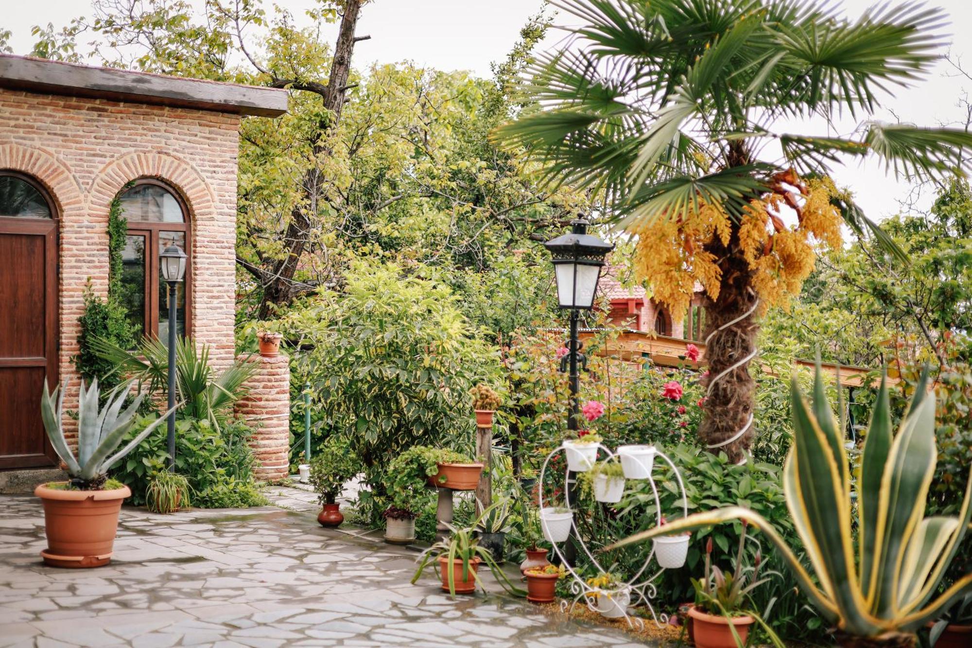 Sighnaghi Garden House Ξενοδοχείο Εξωτερικό φωτογραφία