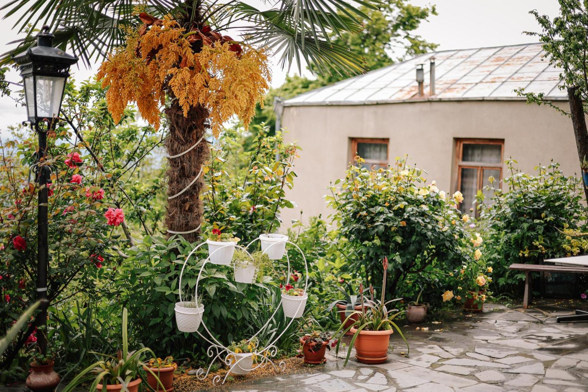 Sighnaghi Garden House Ξενοδοχείο Εξωτερικό φωτογραφία